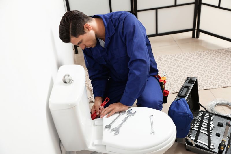 Commercial Toilet Repair detail